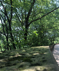 黄桷古道———虽然腿软但是景色真的值得一看