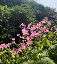 ˭˵ֲ˱ҪԺӣһҲֳ