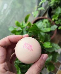 ֲݵĻ켦û֣Ȼûʧ