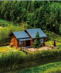 ڡǡ￴񺣣ƽЩ޺;淨