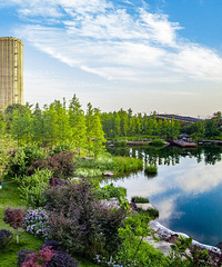 看了巴南的天空之境,感觉这个公园的镜子更实在