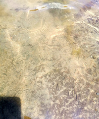 不出主城的耍水地,可以玩一下午