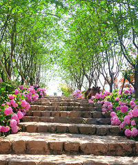 跟着论坛打卡这个出片率极高的公园,还能游湖野餐,好舒服