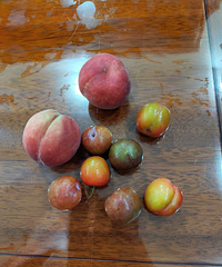 ���ʴ򿨼ƻ�142����100��