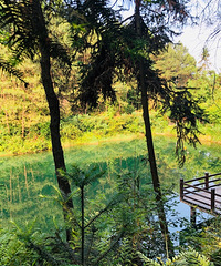 重庆“小九寨”打探归来!水质超清澈!还可以网鱼虾、蝌蚪!