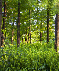 看了巴南的天空之境,感觉这个公园的镜子更实在