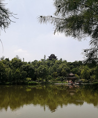 ȥ԰Ʒ裬羰̫ˣʺе