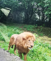 带女儿说走就走的乐和乐都之旅,抓泥鳅,和动物来个亲密接触