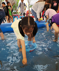 带女儿说走就走的乐和乐都之旅,抓泥鳅,和动物来个亲密接触