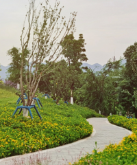 ���͵��Ĺ�԰�������������˼�ʻ���������ܼ��У�˳�㿴����