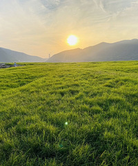 打卡莫奈的花园,露营大草坪