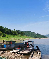 打卡莫奈的花园,露营大草坪