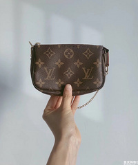 LVmini�齫���������ˣ����׵�����������