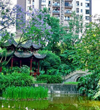 住了5年的金科东方雅郡,很多新盘比不上,当年金科确实用心在修