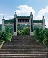 打卡重庆城内最好耍的几座山