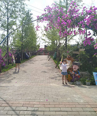 ˣ�¶�ط������ٻ���ͣ��������������ǵ�ũ����ֱ������ʥ��