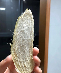 â�����������ֳ�