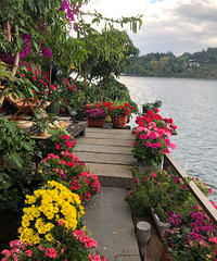 5����˫�ȣ�����һ���Ķ������Լ��а�����������