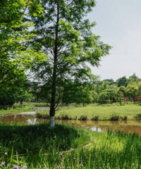 �山�¿�����������԰����Ԥ�ڣ��д��ƺ�ͺɻ������ճ���