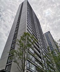 �m԰���ſ�����·��ש�����ˣ�֮ǰ���������кúã������ڵ߸���