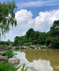 �¿������¶Ӫ��԰�д�Ƭ�����������Ķ��������ϣ�����ס������