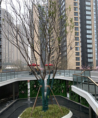 Լ˿108ƽ¼""鷿вȹĿӺͱܹ