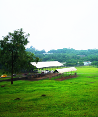 ����������ʺϴ��޹���ĩ���ܺͶ������ܽӴ�����ˣ���ֳ�