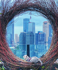 渝中区还藏了个这么美的咖啡厅,看山城夜景实在是太可了!