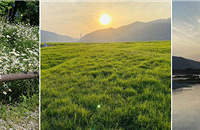 桰Īλ԰ˣˮ¶Ӫʺϴ