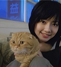 ����������ʱ�ڵ���Ƭ��������