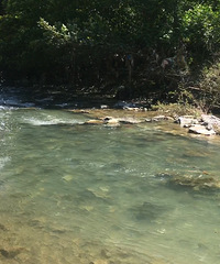 ϴ¶ӪΣˣˮҰͰзɭ+ĩȥĵ5