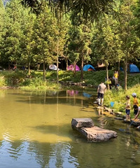 �����ϴ�¶Ӫ�����Σ�����ط�û�����ã�ˣˮҰ�Ͱ��з����ɭ��