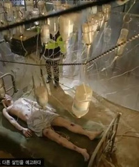 �߶Ⱦ��ˣ�9.1�ֵĿ������ɾ�