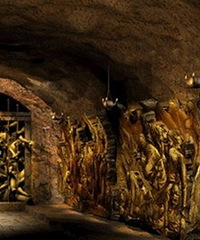 6��5�����磬ȫ�����վ��������ţ������𾪣�