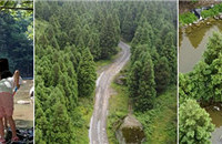 С¶ӪضΣˣˮҰͰзɭ