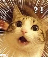 ����С�����ɸ��󻨷����ɱ��