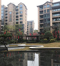 ȥ����Զ��Ź��ӵĶ��ַ���û�����в��˵����8000������