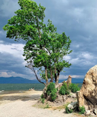 �����ڻ�Ʊס�ޱ����ߴ�����ס�������а���Ƭ����������������Ⱦ