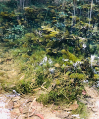 ��������ˮ�ʳ��ã��峺Ư�������պÿ�������������Ϻ�����