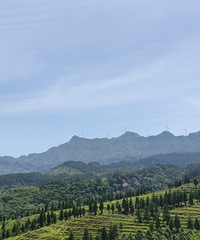 清澈见底的河水,配上蓝天白云下的风车