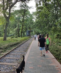 翻新后的川外小铁路适合散步,空气清新环境幽静