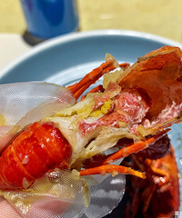 Բ���ˡ�������4��С��Ϻ��12������88��Ǯ