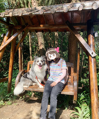 不要门票,没有完全开发的阴凉地方,适合带着狗狗出来溜达