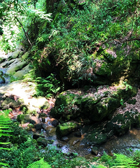 周末选一条凉快的步道走南山,耍水、品茶、休闲、凹造型一个不落