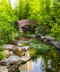 ������ϵ����֮�������������԰�ġ����ӡ���ʵ�ڣ�����������