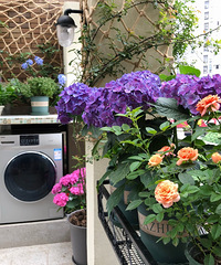 50ս130ƽʽװޣԿǻڱҵˣ