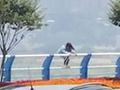 九滨路有人跳江了