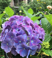 �����ֲ��������֣���ֿ�������������ֵĻ����������Ĳ�