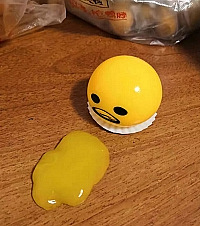 5��Ǯ���ʵ�Ż�µ��ƣ����ĵ��ܽ�ѹ����ϲ�����ֶ�Ȥζ������