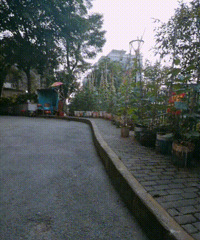 四公里要拆了,去看看儿时住的地方
